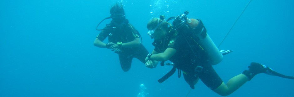 CMAS divers
