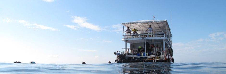 Diving in Phuket