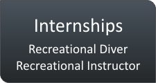 Internships Recreational