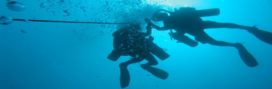 recreational diving